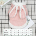 Cute Rabbit ear winter small pet dog clothes